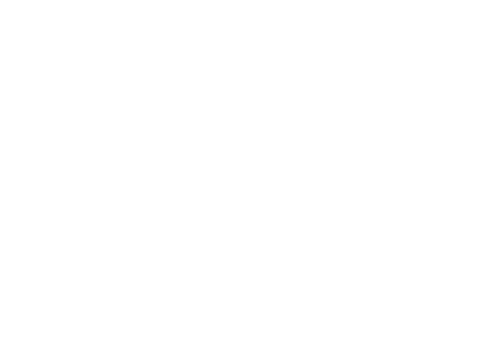 VIDA Kampen Logo